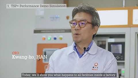 Voltage Sag Protector TSP® Demo simulation Video #AVC #VSP