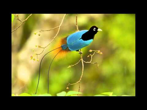 National Geographic Live!