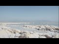 INTERNATIONAL | Dead Sea Sinkholes | Tamar