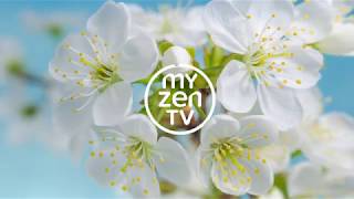 MyZen tv 4K / HotBird 13E  - Russian audio