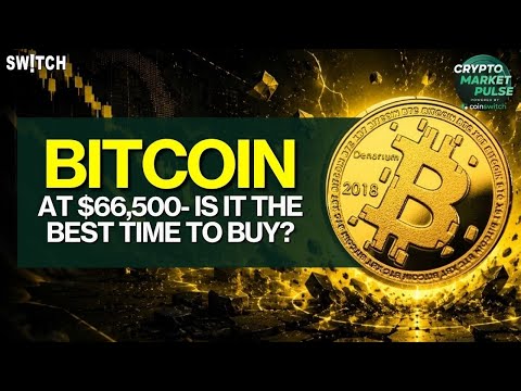 Crypto Market Pulse: BTC $66,500-Is It The Time To Buy?। Top News of The Day। Powered by CoinSwitch