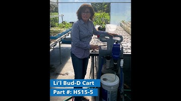 Lessons with Lela - What is the Li