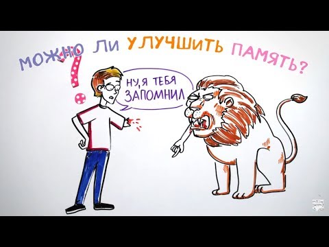 Можно ли улучшить память? — Научпок feat. Артур Шарифов