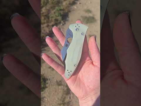 Spyderco Yojimbo 2