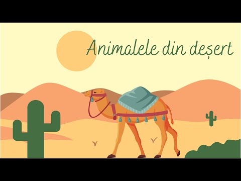 Video: Unde trăiesc animalele în deșert?
