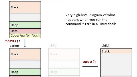 Process Management explained | Fork(), Exec() | Interrupts vs Exceptions in OS | part (2/3)