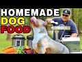 Homemade dog food recipe save money and time new  xl bully