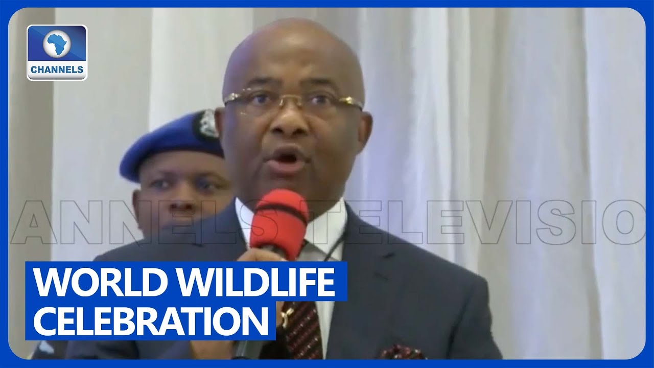 Imo Govt  Establishes Special Bureau For Habitat Conservation