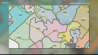Orangeburg expected to be the major topic at South Carolina redistricting debate