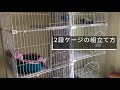【HOW TO】猫の【2段ケージの組立て方】の説明