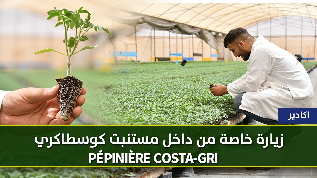 PEPENIERE COSTAGRI- زيارة خاصة من داخل مستنبت كوسطاكري باكادير