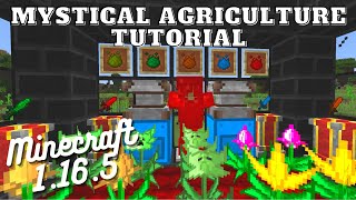 Mystical Agriculture Tutorial - Minecraft 1.16.5 screenshot 2
