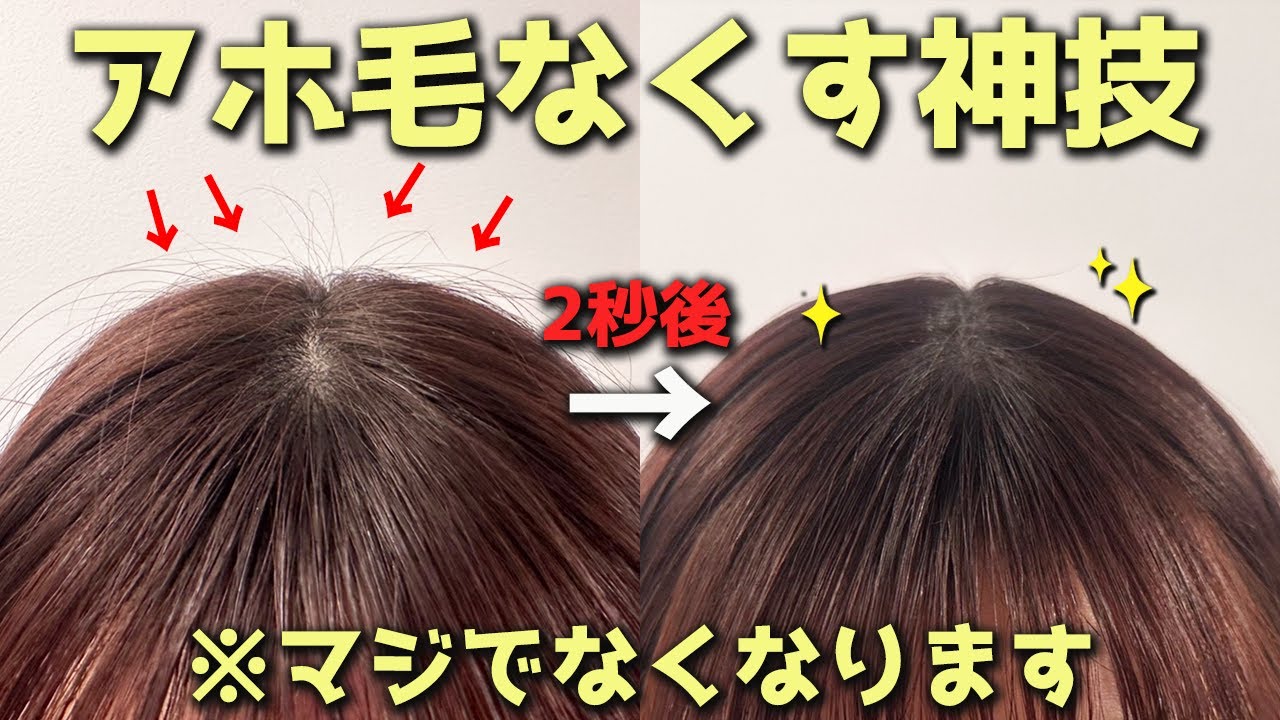 アホ 毛 直し