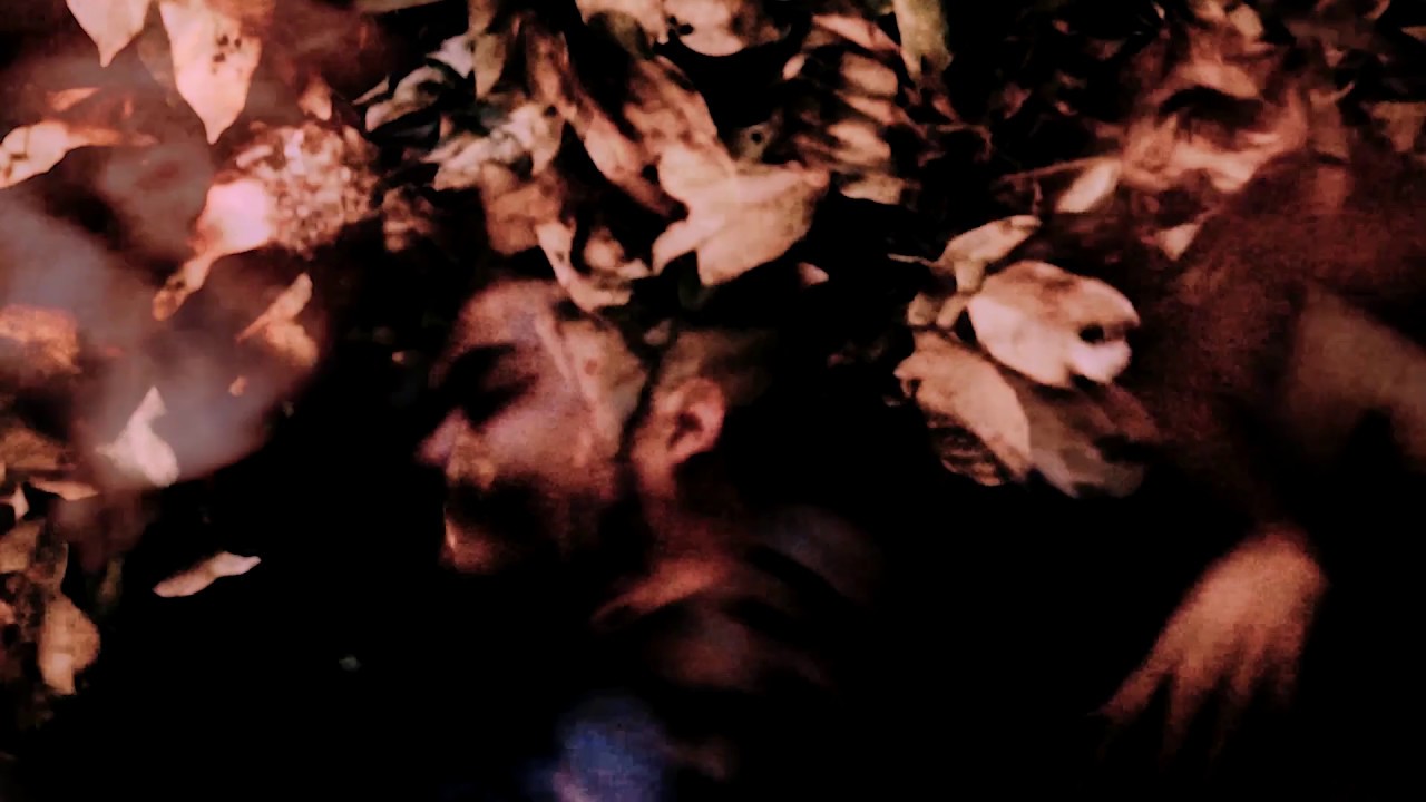 DEZ MIL CAMINHOS // v i d e o c l i p e [Orlok Sombra]