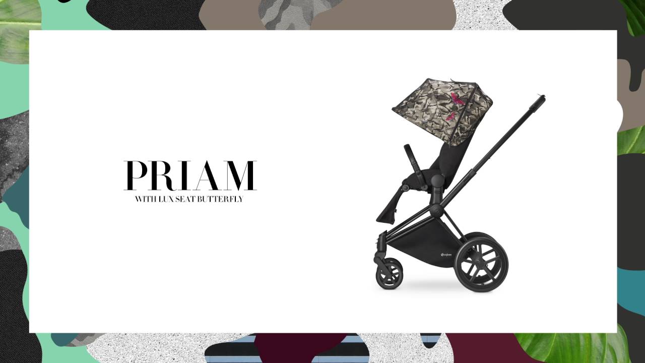 Cybex Platinum Chancelière Mios et Priam - Pépin de Pomme