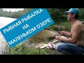 Рыбная рыбалка на маленьком озере