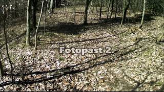 Fotopast 2, Camera trap 2., Piège photographique 2., Fotopułapka 2. Cámara trampa 2.