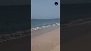 Pink shells beach, Ras Al Hadd, Oman ??