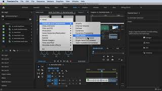 How to Use Hard Limiter#Adobe Premiere Pro Complete Video Editing Masterclass Udemy