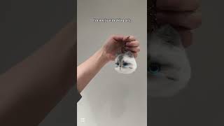 FuzzyTwist Easy pipe cleaner craft, fluffy  black white cat keychains #pipecleanerart #diy #craft