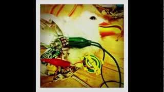 Completely Free Sample Pack: Circuit Bent Duck