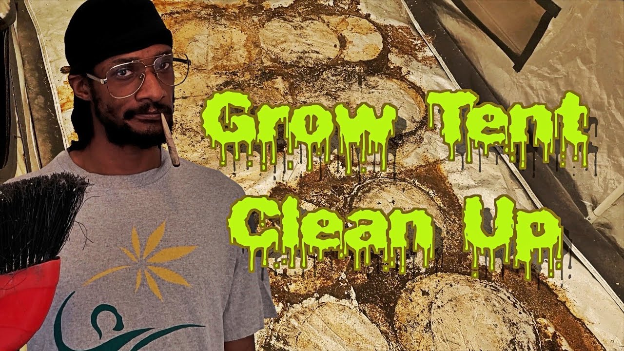 Grow Tent Clean Up
