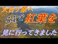 今が旬の紅葉を大台ケ原へ見に行ってきました