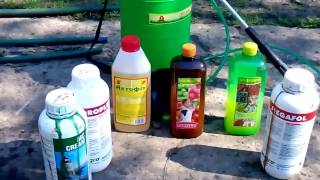 Видео Обработка клубники во время цветения (автор: Евгений Баканов)