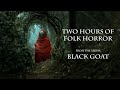 2 Hours of Dark Ambient Folk Horror Music 🎶