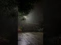 monsoon ki barish ☔⚡💃 #explore #love #monsoon #viral #trending