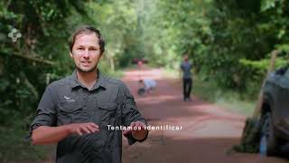 ETH BiodivX: Mapping Amazon's Biodiversity