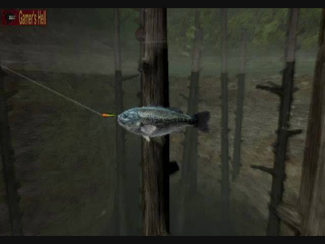 Reel Fishing III OST - 2. Unaerated Tank 