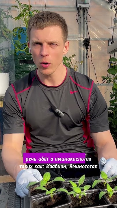 ЛУЧШИЙ СТИМУЛЯТОР РОСТА - YouTube