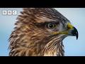 How to survive in a Scottish winter - BBC