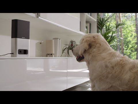 Petcube Bites Treat Camera: Designed for Pet Parents