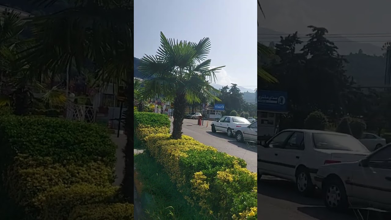 Иран Каспийское море 🌊 Рамсар