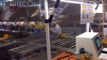 patch cord optical Production automation