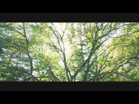 トヨタ プリウスPHV CM 石原さとみ