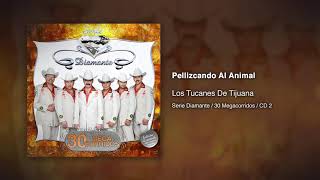 Video voorbeeld van "Pellizcando Al Animal - Los Tucanes De Tijuana [Audio Oficial]"