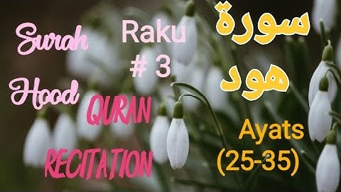011-Surah Hood |سورة هُودٖ | Raku # 3 | Tilawat | Quran | Translation