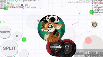 Blob ❌ Insane ❌Doublesplits❌Amazing Popsplits❌Preesplits❌❌Tricksplits AND👉🤙❌❌TRIBBLESPLITS❌😱🤙