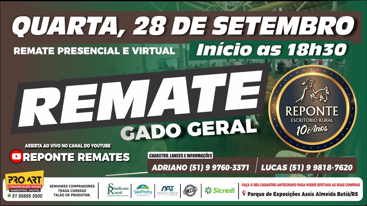 Virtual Remates Ltda