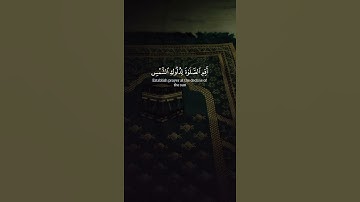 أكتب شيء تؤجر عليه ♡ #قارئ #ياسر_الدوسري #قرآن #تلاوة_خاشعة  #راحة_نفسية #quran  #صوت_جميل #