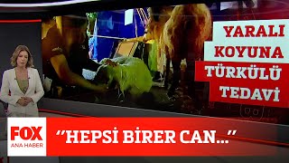 Hepsi Birer Can 2 Ağustos 2021 Fox Ana Haber