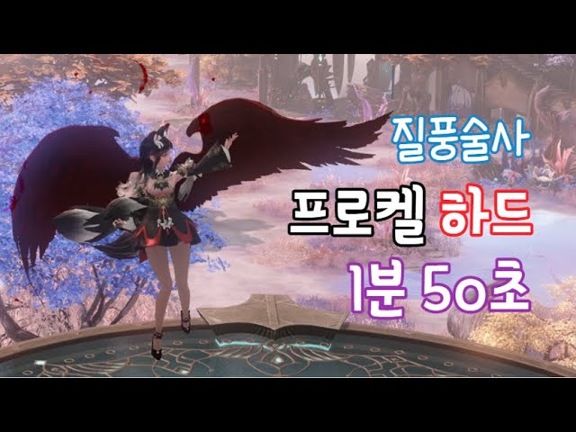 1580질풍술사 프로켈 하드 1분대 컷 - YouTube 1580질풍술사 프로켈 하드 1분대 컷 - Youtube
