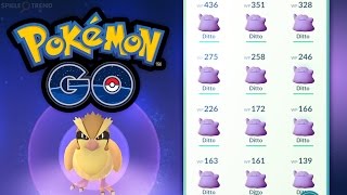 Darum nehme ich ab sofort Taubsi als Buddy + 23x Ditto | Pokémon GO Deutsch #126