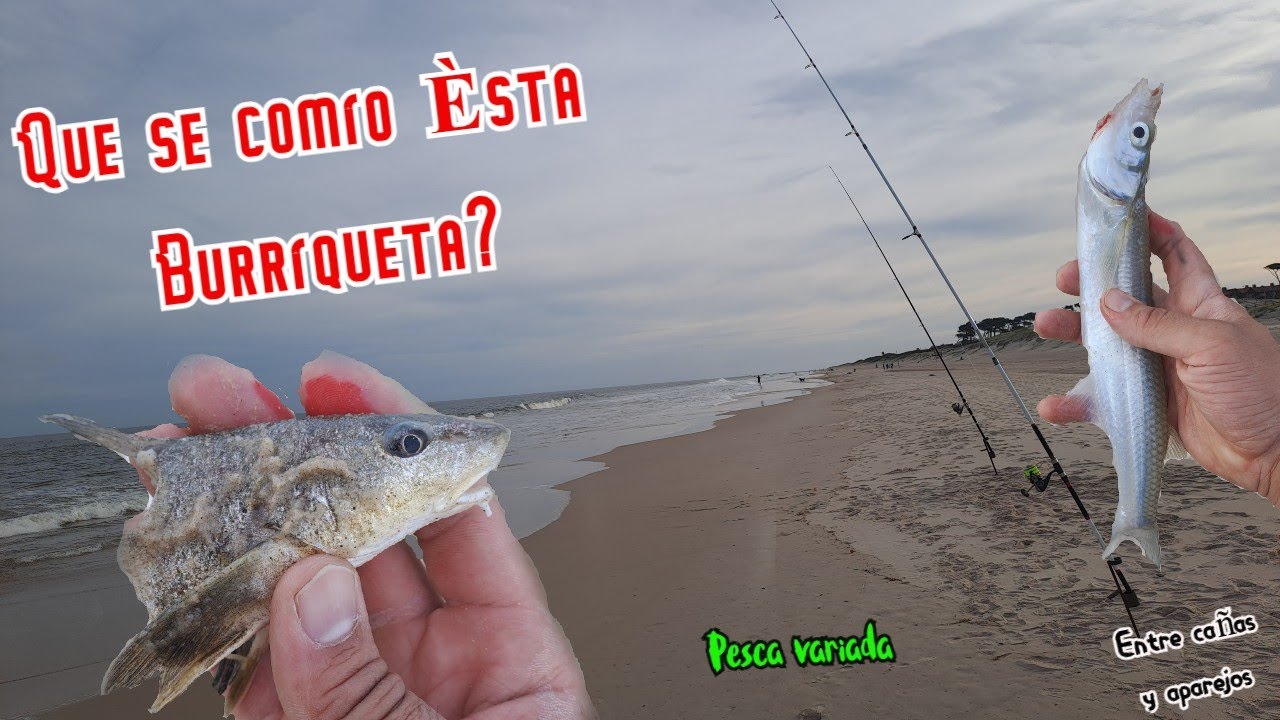 ¡Algo atacó mi captura! Pesca variada en Las Toscas//Uruguay//