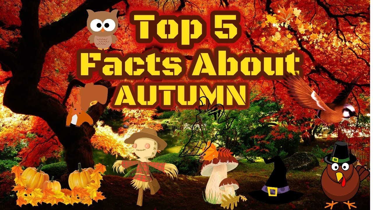 Top 5 Facts About Autumn/Fall - YouTube