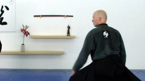 Moving backward, Ninjutsu sabaki, Ushiro, basic - techniques for Akban wiki