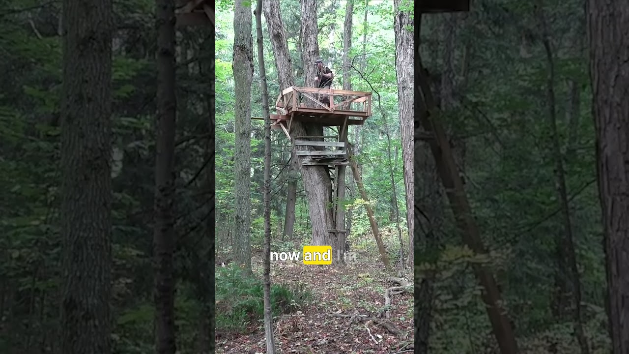 Original Title & Thumbnail